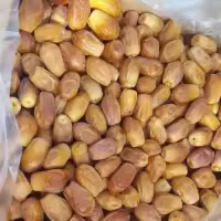 Zahidi Dates - 1Kg