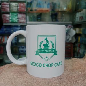 Customized Mug Print for Branding (China)