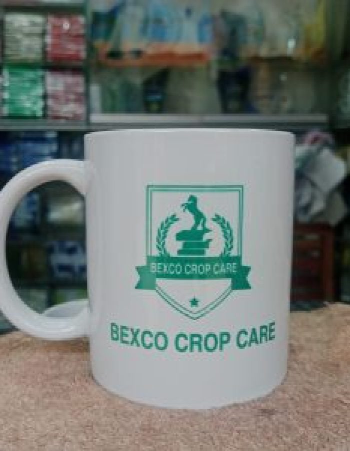 Customized Mug Print for Branding (China)